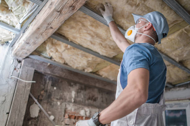 Best Spray Foam Insulation in Clear Lake, IA