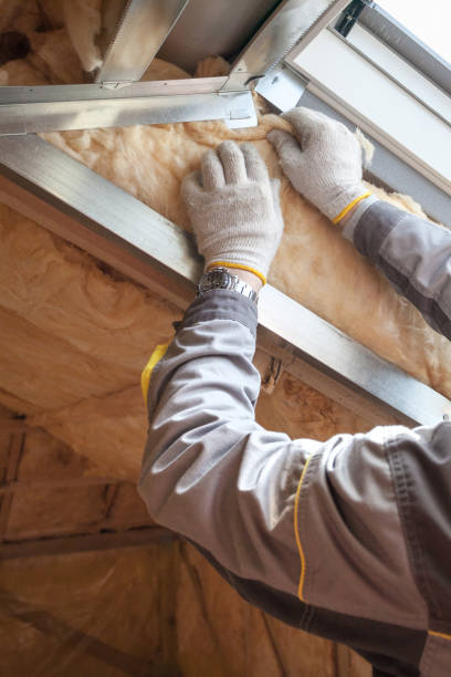 Best Insulation Maintenance and Repair in Clear Lake, IA